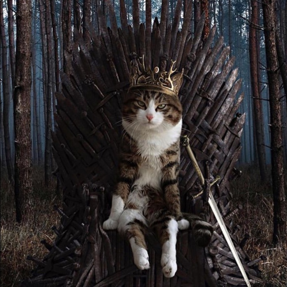 Meet your Posher, Nicole